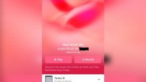 Apple Music Mixing Not Working