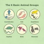 Are Fish Reptiles: Unraveling the Science Behind Aquatic Life