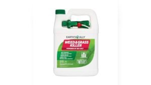 Best Herbicide for Couch Grass: Top Effective Natural and Chemical Solutions