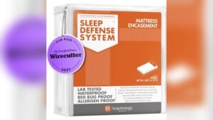 Best Mattress Cover for Dust Mites: Top Picks for Ultimate Allergy Protection