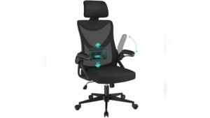 Best Office Chair for 12 Hours: Ultimate Ergonomic Comfort and Support