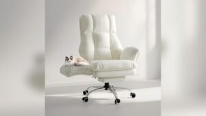 Best Office Chair for Cat Owners: Comfortable, Durable, and Pet-Friendly Seating