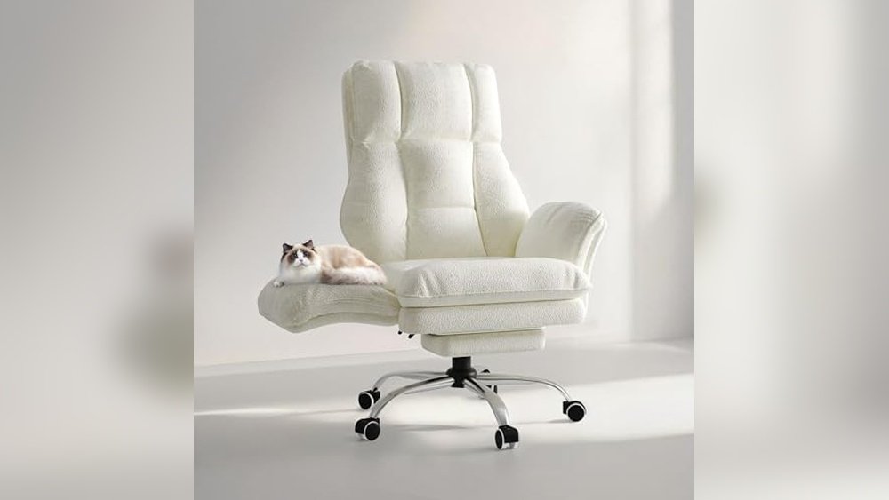 Best Office Chair for Cat Owners: Comfortable, Durable, and Pet-Friendly Seating