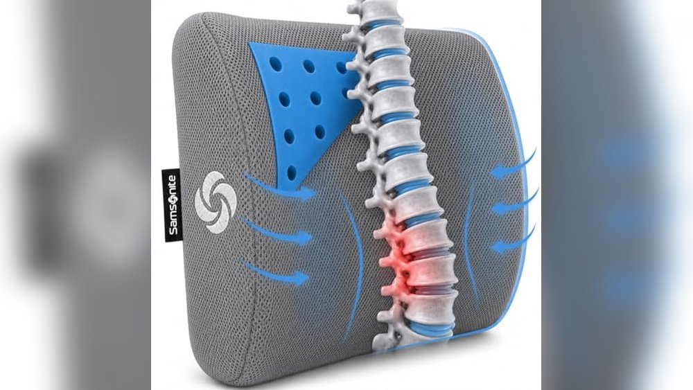 Best Posture Chair for Gaming: Ultimate Comfort and Back Support Guide
