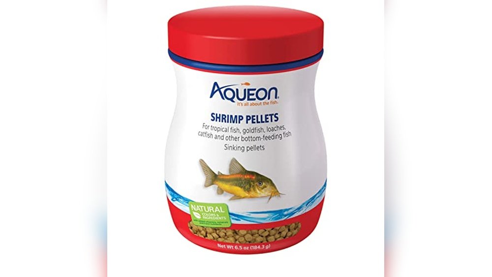 Can Catfish And Goldfish Live Together? Tips For Peaceful Aquariums