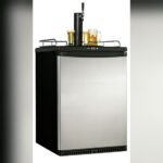 Danby Kegerator Temperature Control Not Working? Easy Fixes