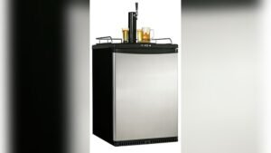 Danby Kegerator Temperature Control Not Working