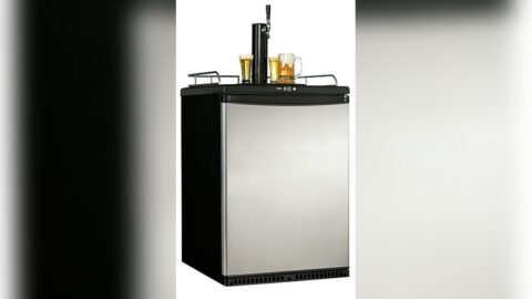 Danby Kegerator Temperature Control Not Working
