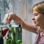 Do Betta Fish Need a Filter? Essential Care Tips Revealed