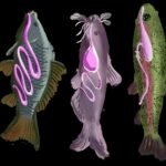 Do Catfish Poop: Surprising Facts Every Owner Should Know
