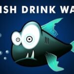 Do Fishes Drink Air? Surprising Facts You Need to Know