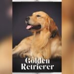 Golden Retriever Price in India: Latest Costs and Buying Guide