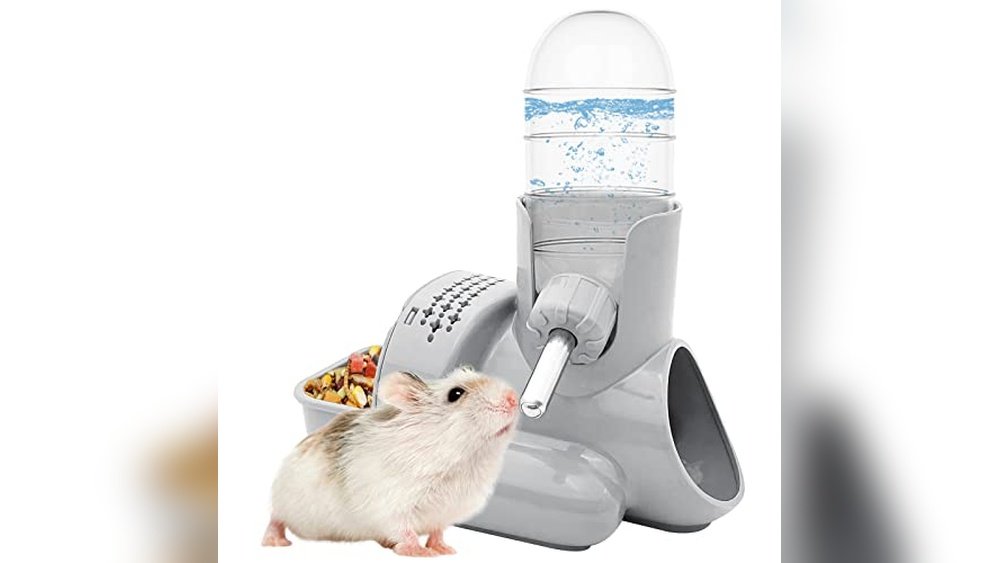 How Long Can a Hamster Go Without Food Water Safely?
