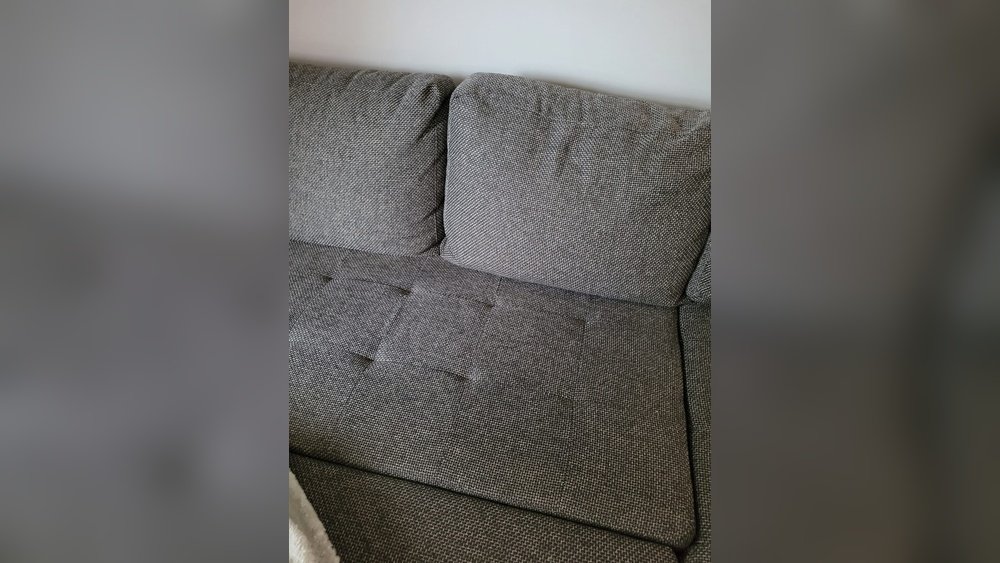 How to Clean Poop off Couch: Quick and Effective Solutions