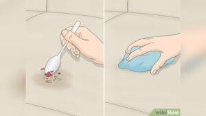 How to Get a Blood Stain Out of Couch: Expert Cleaning Tips