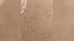 How to Get Water Stain Out of Couch: Quick and Easy Fixes