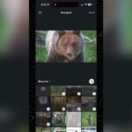 Instagram Mixed Ratio Not Working: Quick Fixes and Solutions