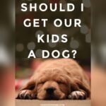 Is It a Good Idea to Get a Dog for My Kids? Pros and Cons