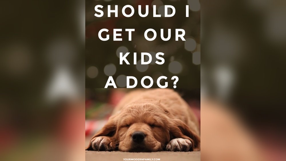 Is It a Good Idea to Get a Dog for My Kids? Pros and Cons