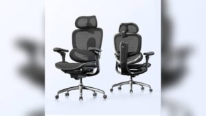 Is Sihoo a Good Chair Brand? Honest Review and Buyer Guide