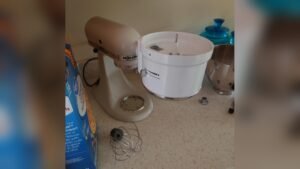 Kitchenaid Mixer Food Processor Attachment Not Working