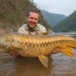 State Fish of Uttarakhand: Fascinating Facts and Conservation Efforts