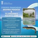 Telangana State Fish: Discover Aquatic Jewels and Hidden Wonders