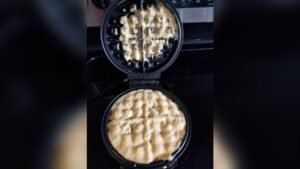 Waffle Maker Not Working