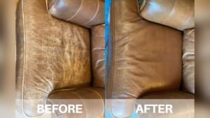 What is the Best Leather Dye for Sofas: Top Picks Reviewed