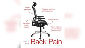 What Office Chair is Best for Lower Back Pain? Top Picks Reviewed