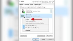 Windows 11 Stereo Mix Not Working