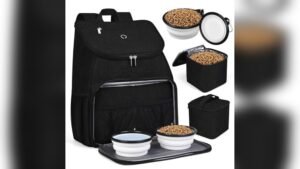 Are Dogs Allowed on Trains: Essential Travel Gear for Pet Owners