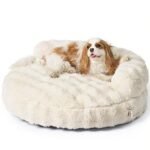 Best Bean Bag Chair for Dogs: Ultimate Comfort and Stylish Pet Beds