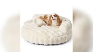 Best Bean Bag Chair for Dogs: Ultimate Comfort and Stylish Pet Beds