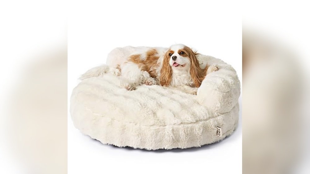 Best Bean Bag Chair for Dogs: Ultimate Comfort and Stylish Pet Beds