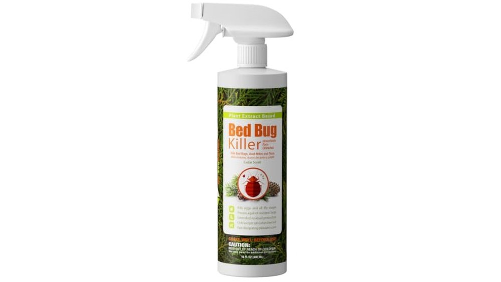 Best Bed Bug Spray for Couch: Top Effective and Safe Solutions Reviewed