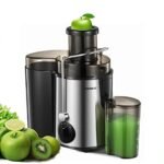 Best Blender for Juicing Fruits And Vegetables: Top Picks for Efficiency