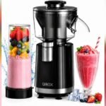 Best Blender for Shaved Ice: QIBOX 2-in-1 Snow Cone Machine Review