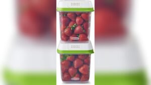 Best Brands for Freezing Berries: Top Containers and Preservers Reviewed