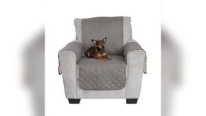 Best Chair Covers for Cats: Ultimate Protection and Style for Furniture
