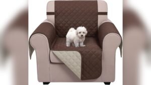 Best Chair Covers for Pets: Durable, Waterproof, and Pet-Friendly Options