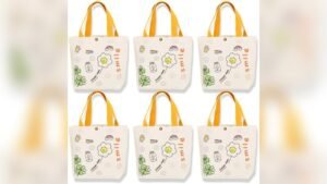Best China Small Canvas Lunch Bag Wholesale Deals for 2026 Buyers