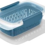 Best Containers for Freezing Blueberries: Top Picks for Freshness and Ease