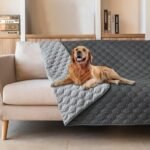 Best Couch Covers for Dogs to Protect and Style Your Furniture