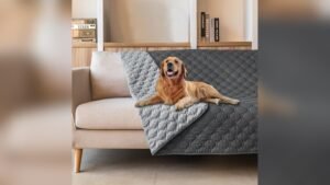 Best Couch Covers for Dogs to Protect and Style Your Furniture