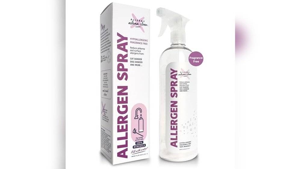 Best Couch for Allergies: Top Allergen-Free Covers and Sprays Reviewed