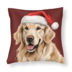 Best Couch for Big Dogs: Top Cozy Pillows and Blankets for Comfort