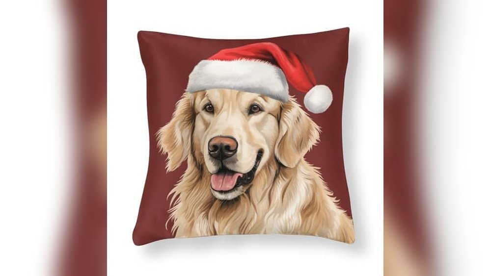 Best Couch for Big Dogs: Top Cozy Pillows and Blankets for Comfort
