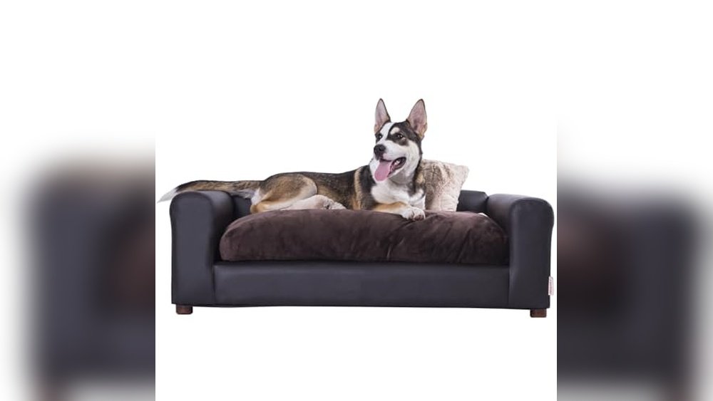 Best Couch for Dogs Leather: Top Durable and Stylish Pet Sofas Reviewed