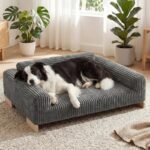 Best Couch for Dogs With Nails: Durable, Stylish, and Protective Picks